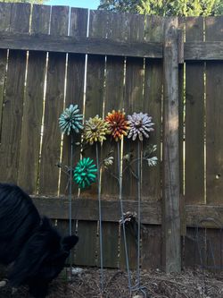 5 Steele Outdoor Flowers