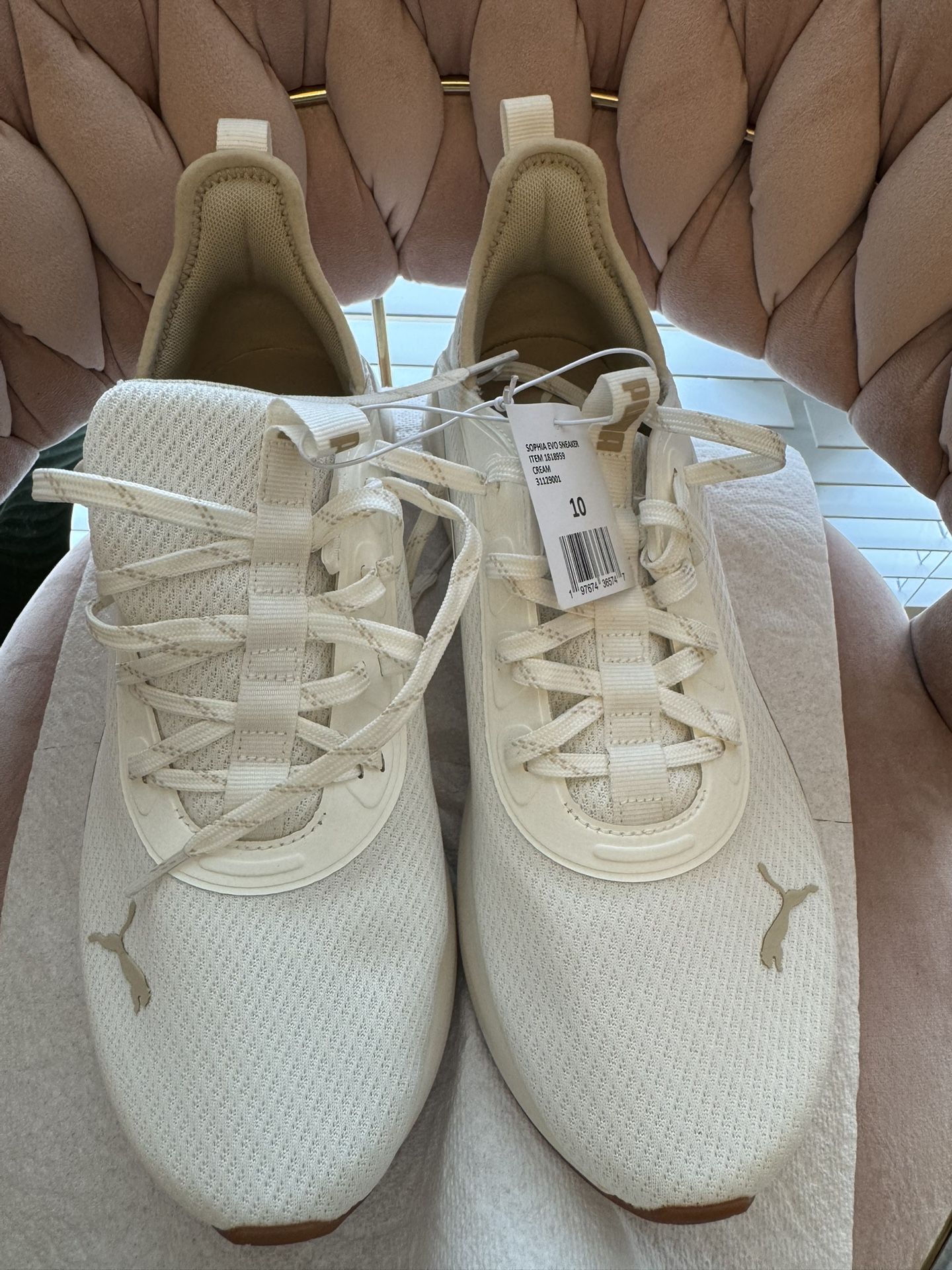 Shoe