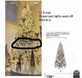 12 ft tree