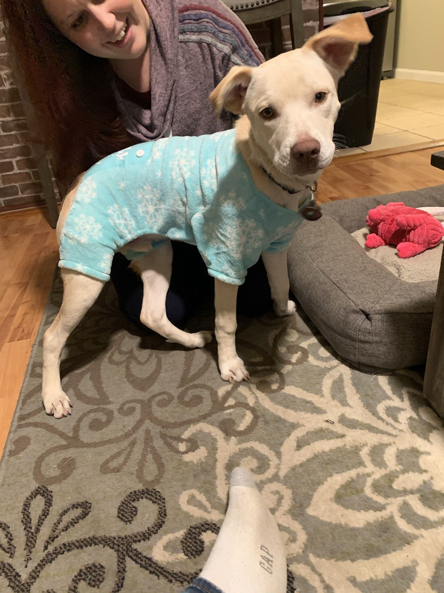 Size Medium Dog Pajamas And Plaid Vest