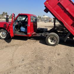 Rock Dirt Tree Branch Pickup