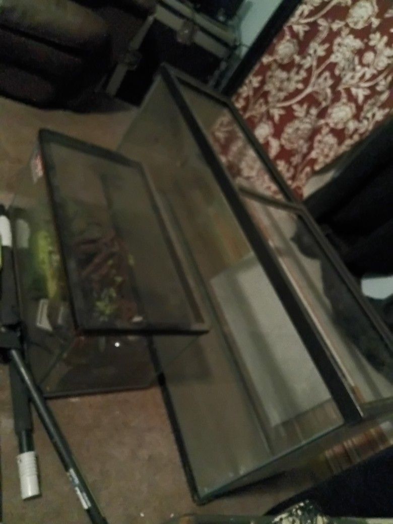 25 Gallon And 40 Gallon Tank
