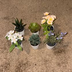 Set of 6 Mini Faux Plants in White Pots (~2‑3″) — Home/Office Décor