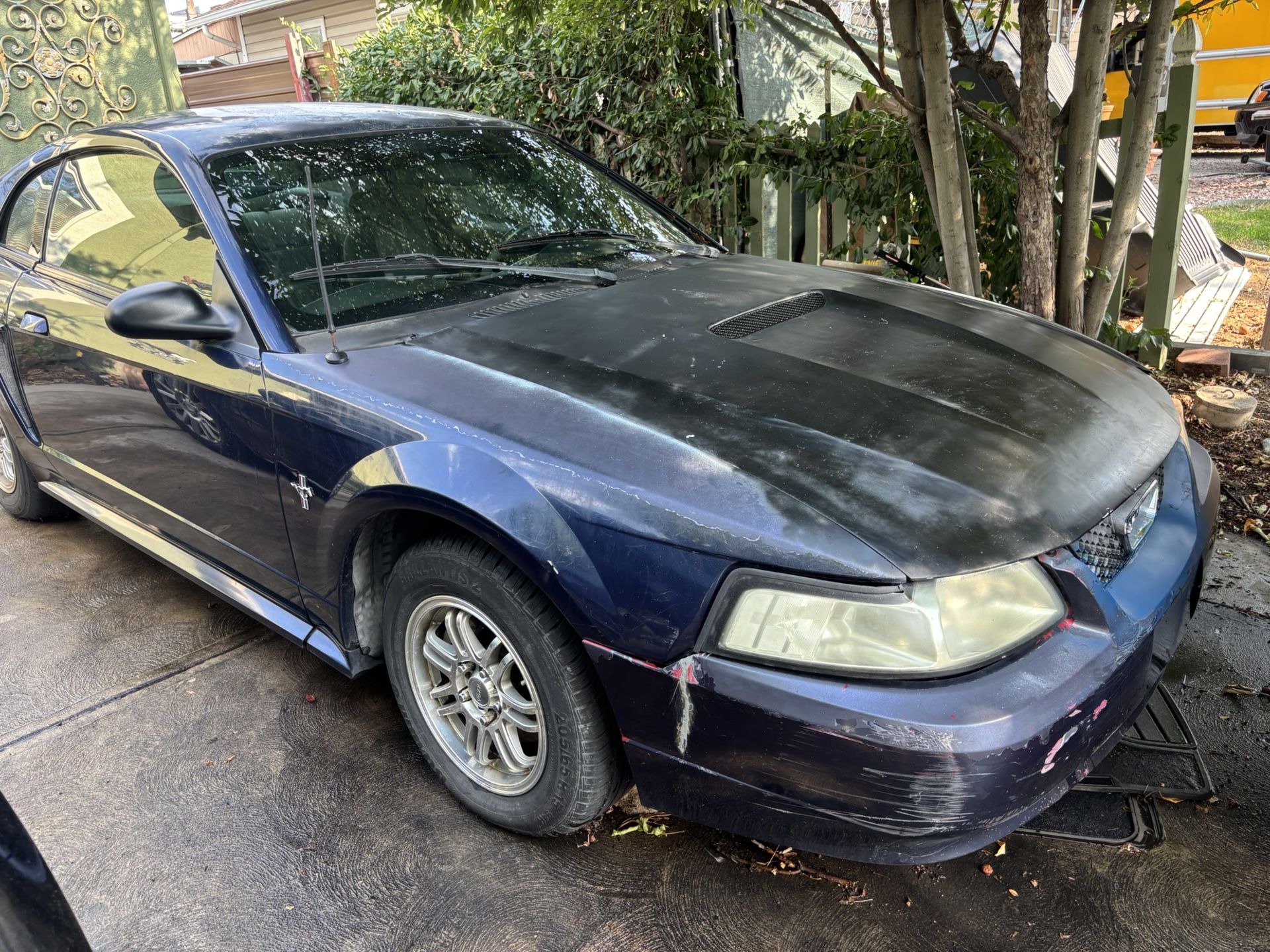 2002 Ford Mustang