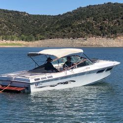 Classic 1978 Cuddy Cabin Wellcraft Boat