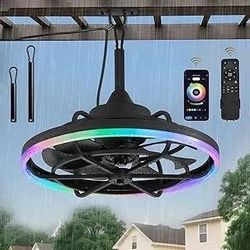 Fan
