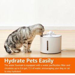 Pet Water Fountain 