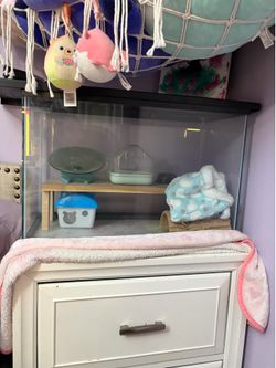 Hamster cage