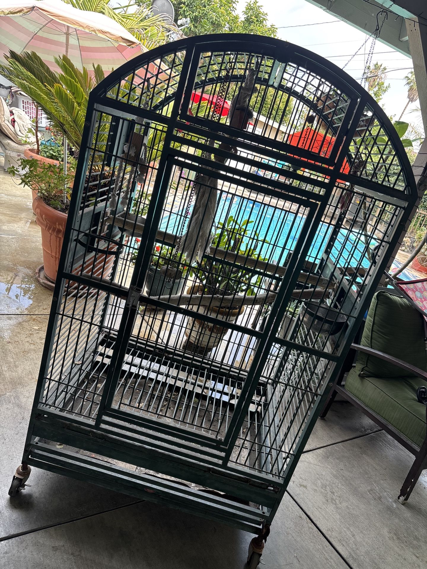 Bird Cage (Big)