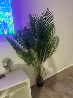 ARTIFICIAL PLANTS￼