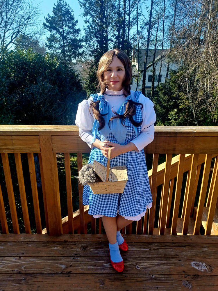 Dorothy Costume For Women 