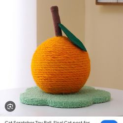 Cat Scratcher Toy Ball