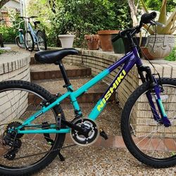 24-Inch Nishiki Pueblo Mountain Bike