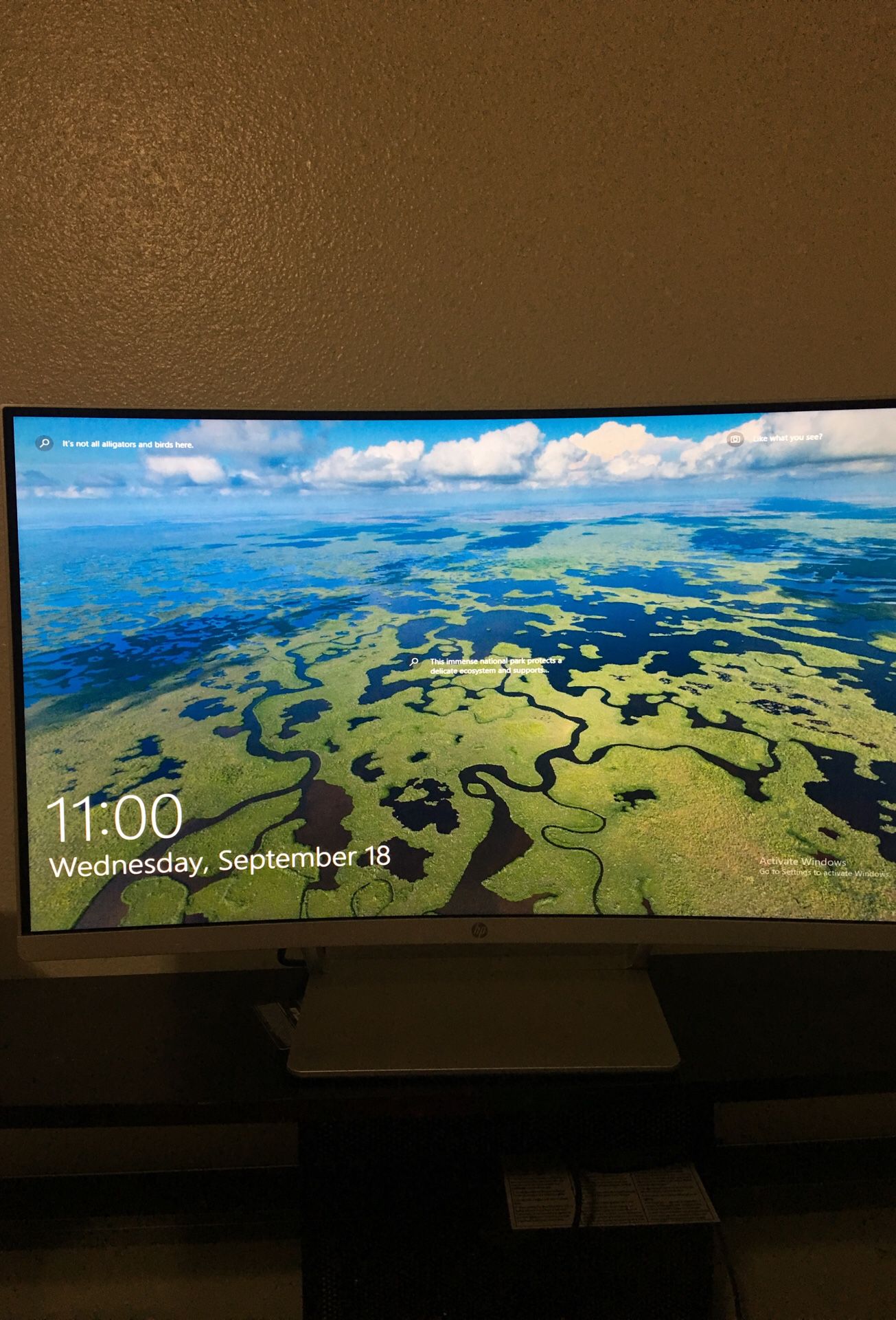 HP Curved monitor