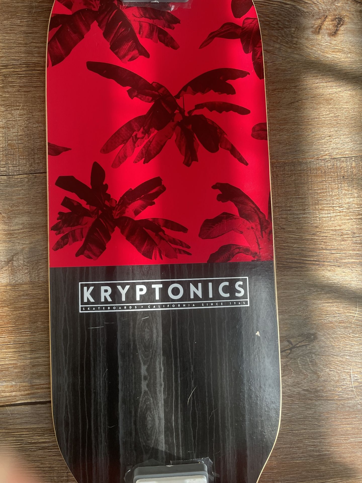 Skate Board