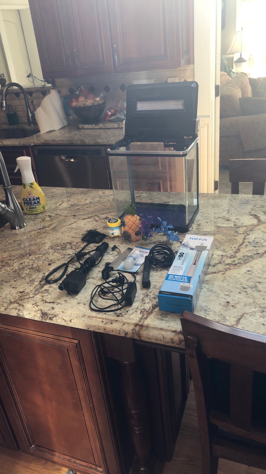 Small Fish tank Setup