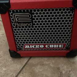 Roland microcube Portable Amp