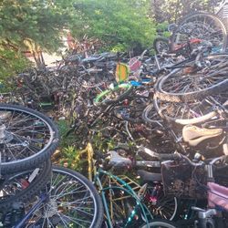 Bikes, Tires , Wheels, Etc