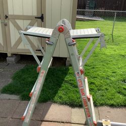 Little Giant Ladder With Platforms 