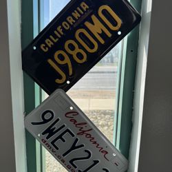 $50 DMV Espertos/Experts