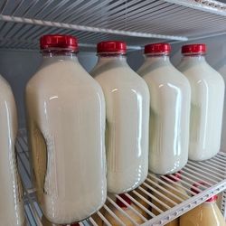 Raw Goats Milk Goat Milk 