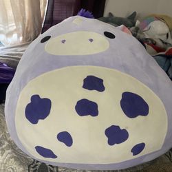Purple Cow Squishmallow 