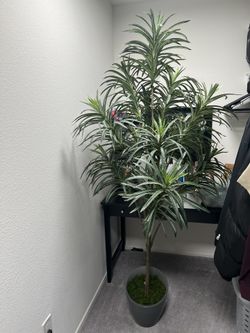 Artificial Plant