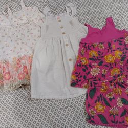 Girls Toddler Bundle 3T