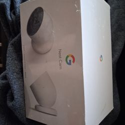 Google Nest Cameras
