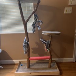 Wow! A Tree Branch Cat Tree 