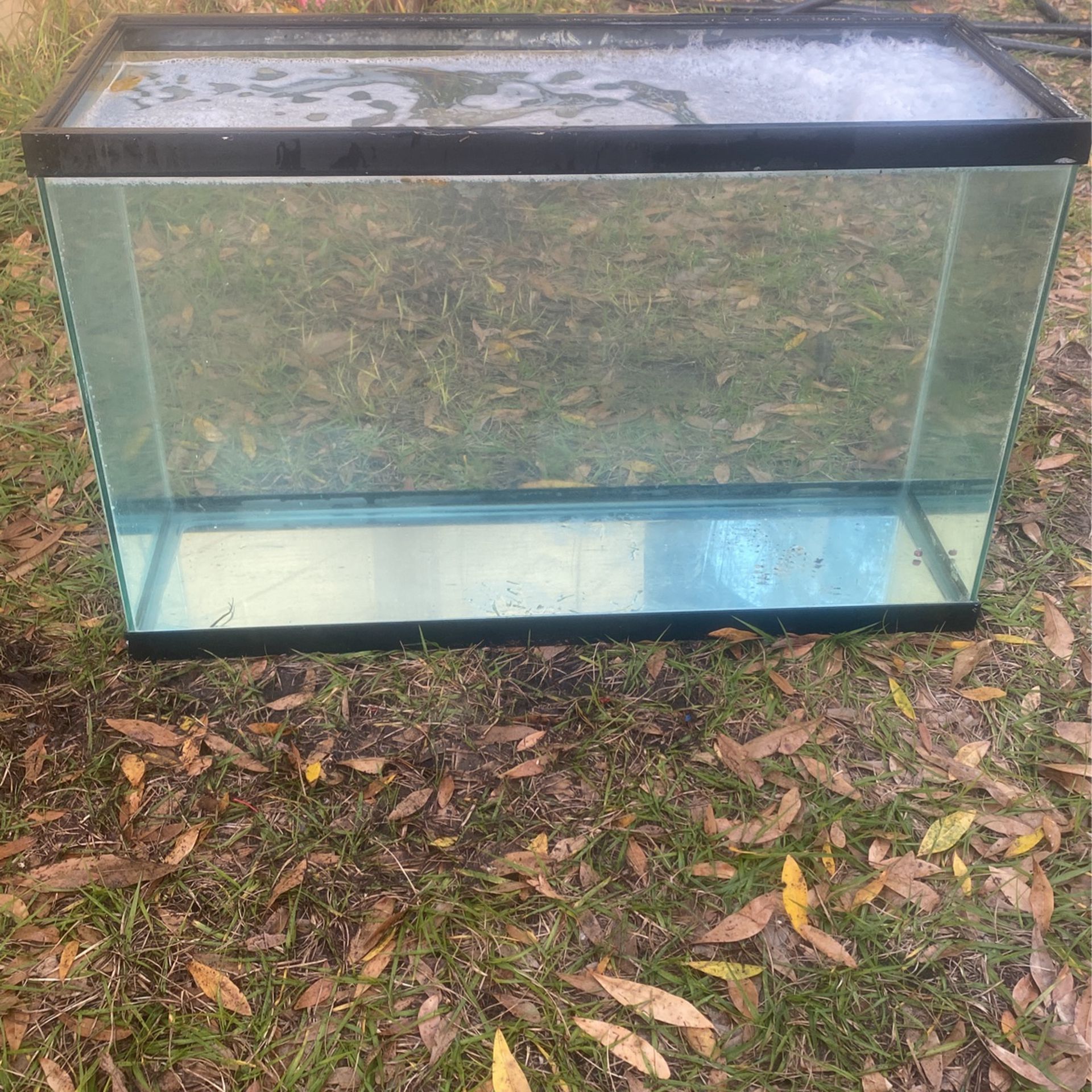 Beautiful Clear Glass Fish Tank