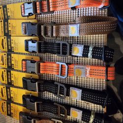 Dog Collars