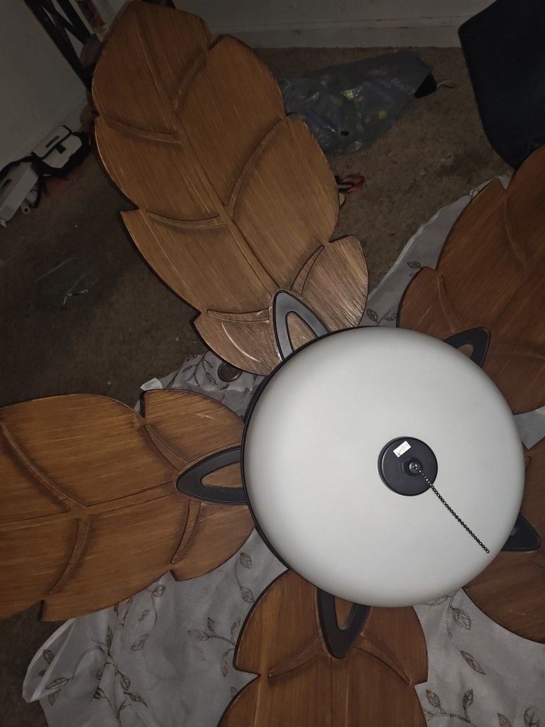 Fan