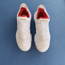 LeBron 16 Low Draft Night Size 11.5 (used) With Box