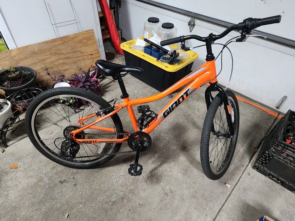 Bicycle Giant XTC Jr