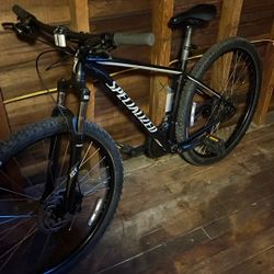 29” Specialized 