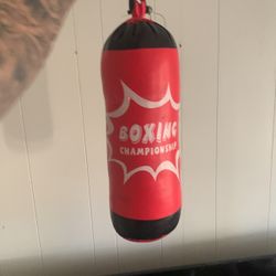 Boxing Bag  Comes With Gloves 