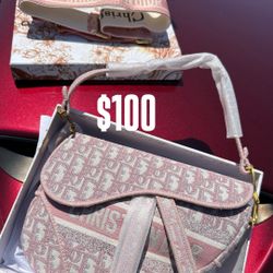 Dior Saddle Bags 