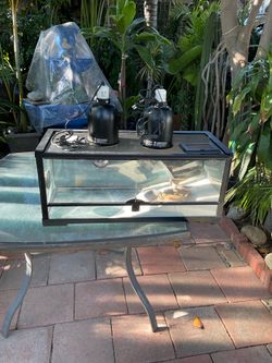 20 Gallon Tank