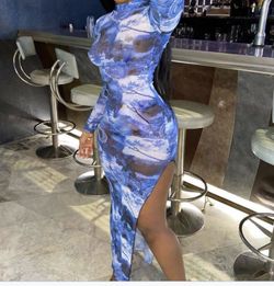 Sheer Blue Dress