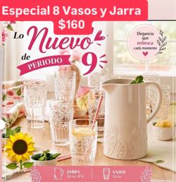 Nuevos set de 8 Vasos y Jarra Wildflower Cerámica $160.00 Especial Princess House