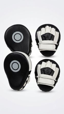 Boxing Focus Mitts