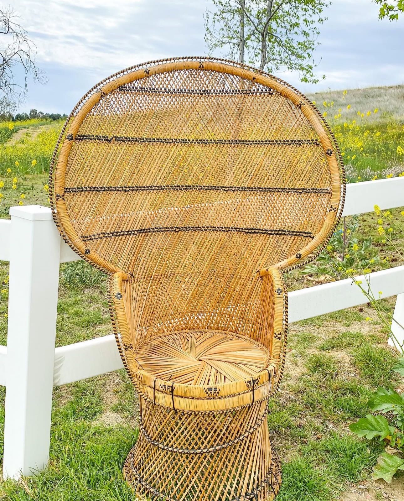 Vintage Peacock Chair For Sale!
