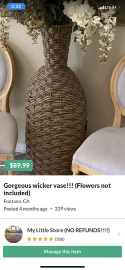 Gorgeous wicker vase (flowers not included)