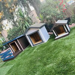 Dog Houses