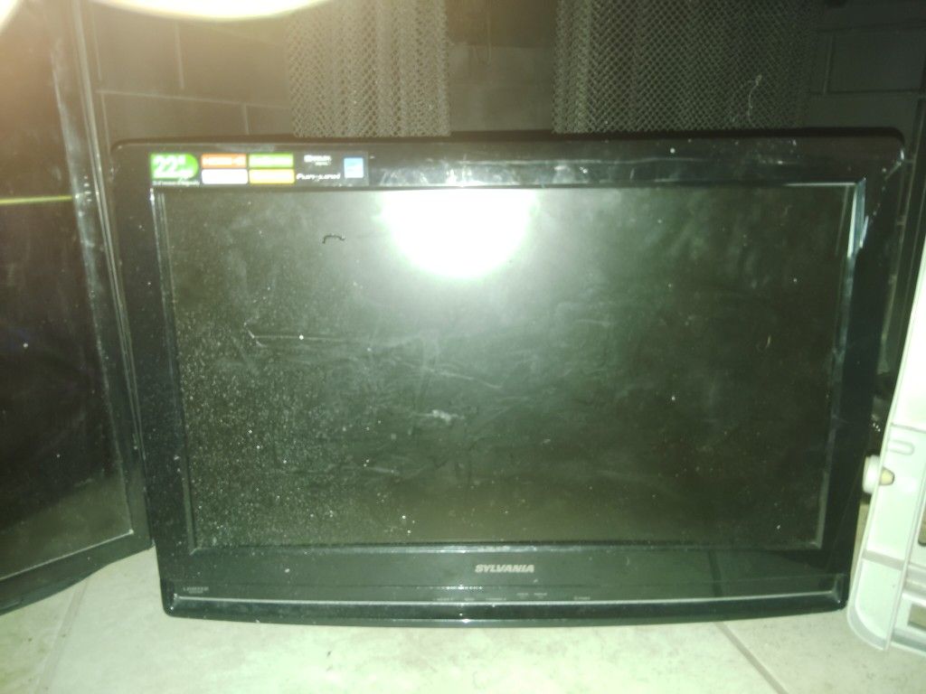 22in. TV 