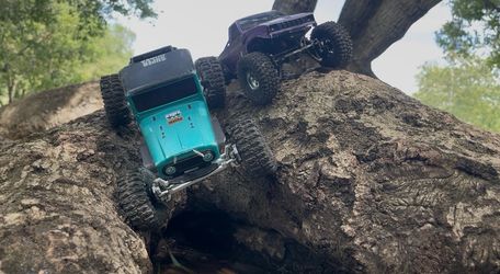 Trx4m 1:18 scale crawler