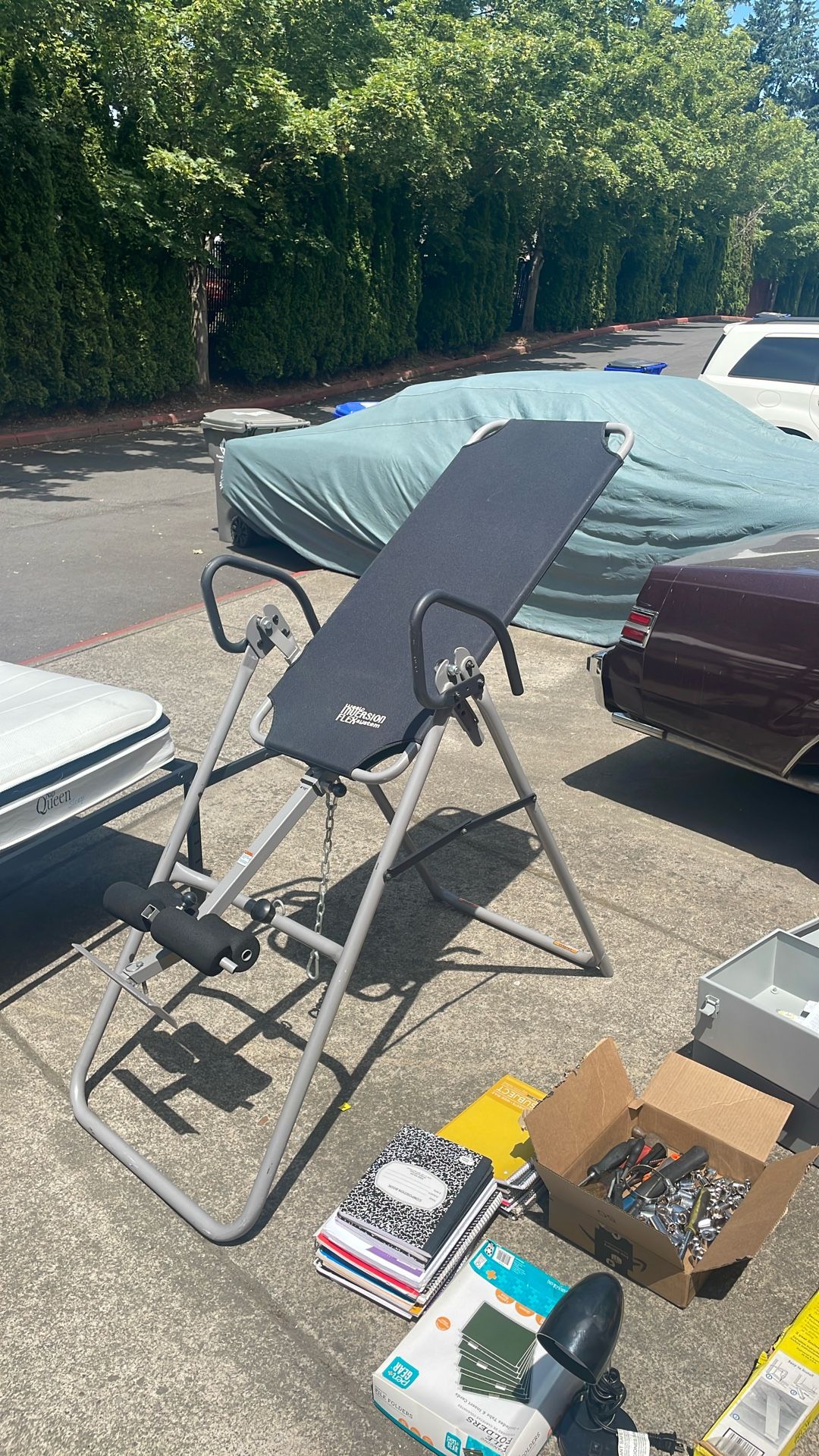 Weslo Inversion Flex System Hanging Chair