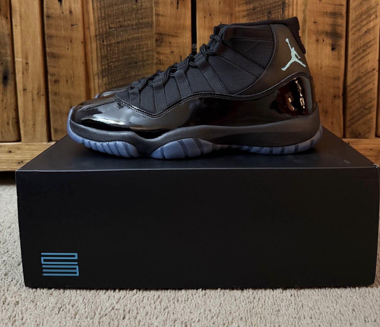 Air Jordan 11 Retro “Gamma” Size 10.5