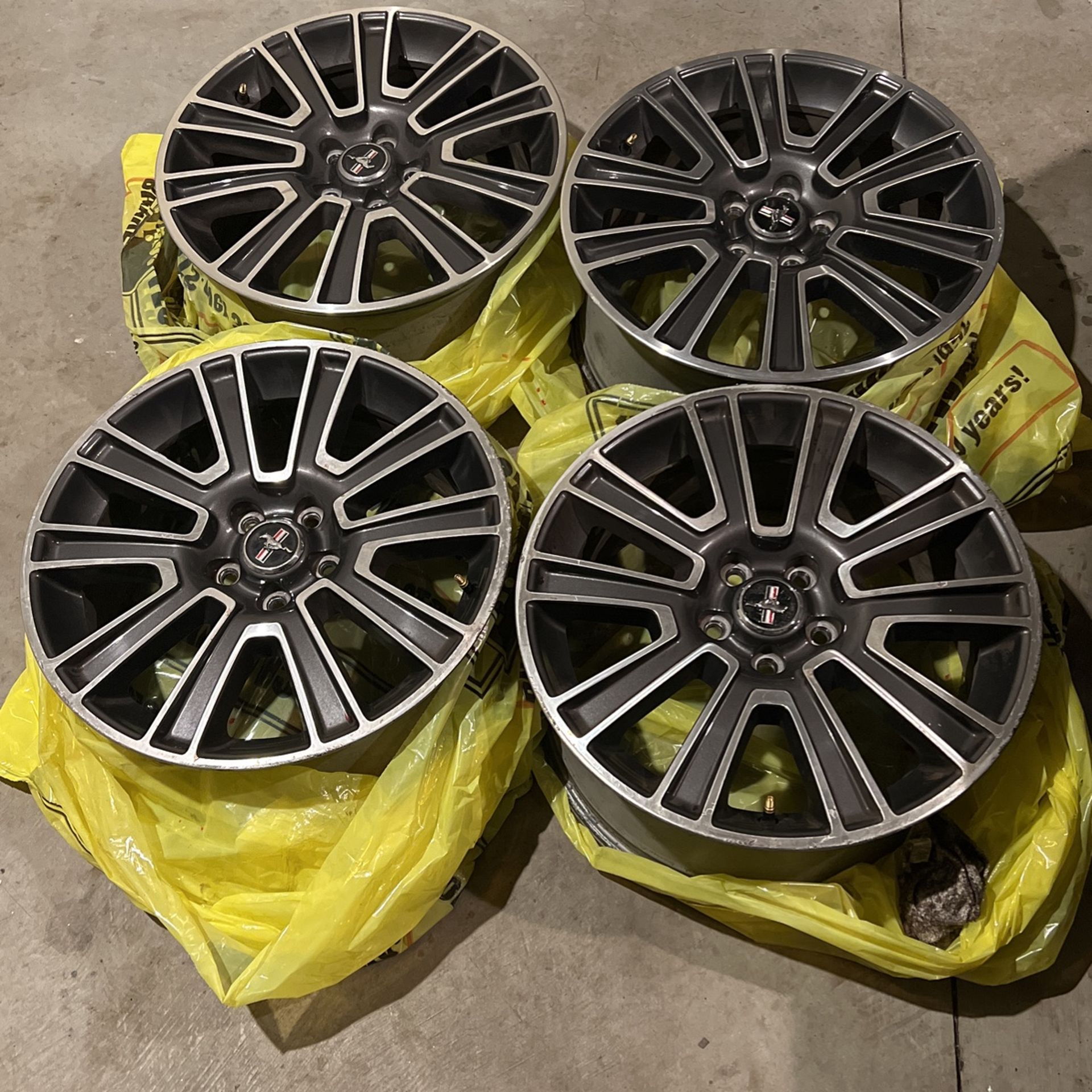 19” Mustang Gt Wheels